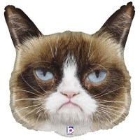 недовольный кот